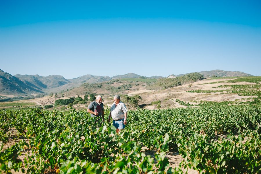 バデンホースト・ファミリー・ワインズ