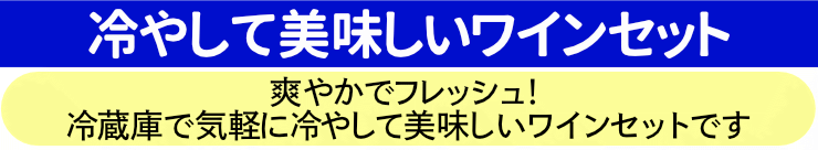 冷やして美味しいワインセット