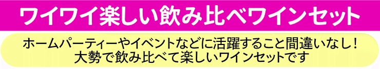 ワイワイ楽しい飲み比べワインセット