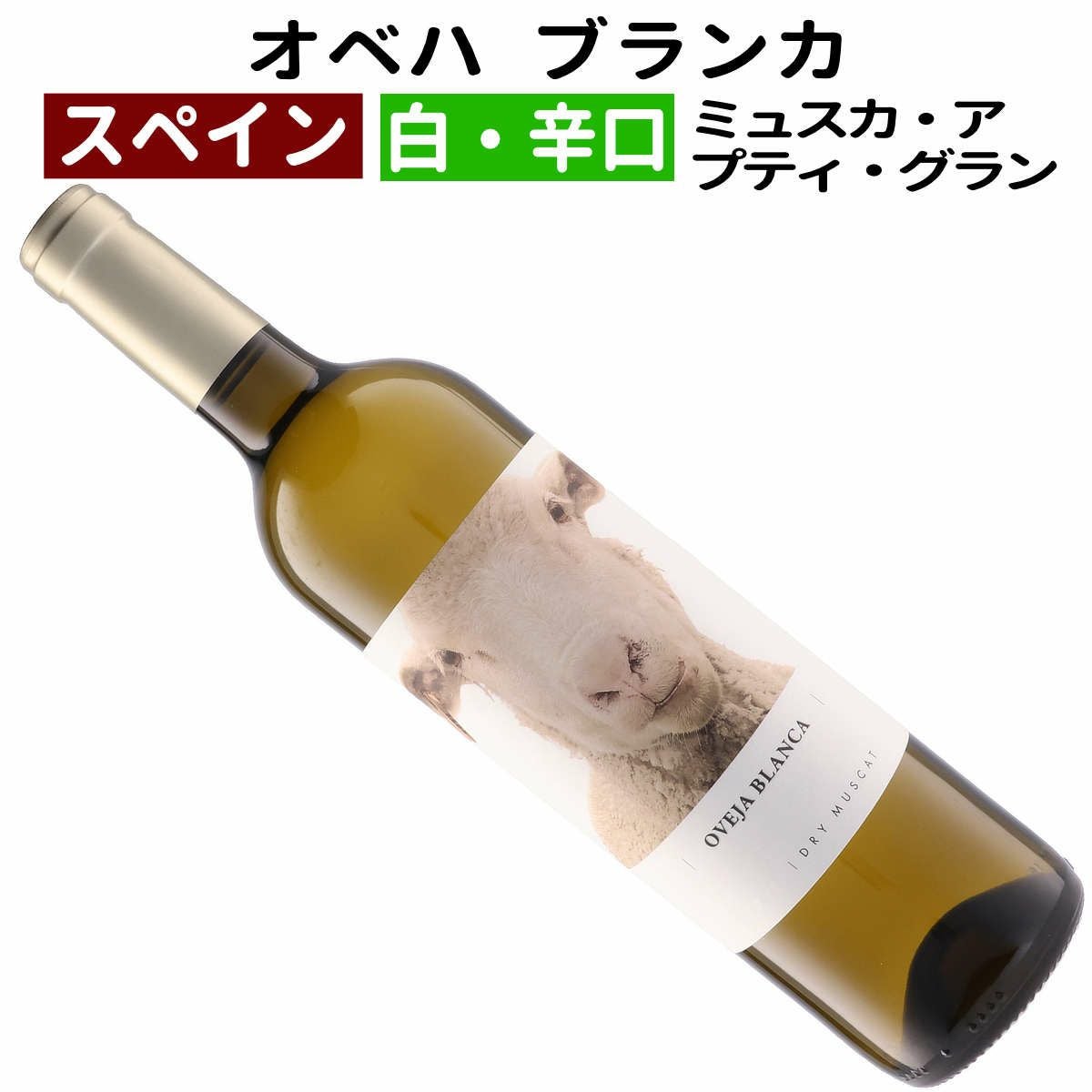 フローラルでフレッシュ！ 華やかでお買い得な辛口白ワイン！ 「羊