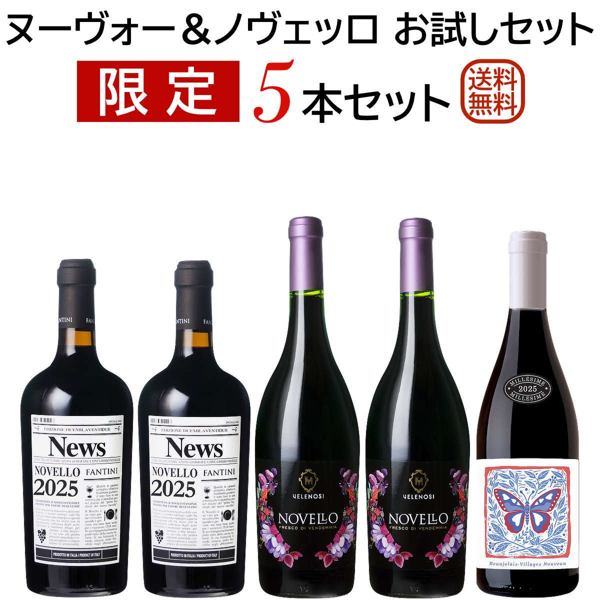 ボジョレー・ヌーヴォー2025｜ワイン通販ヴァンヴァン本店